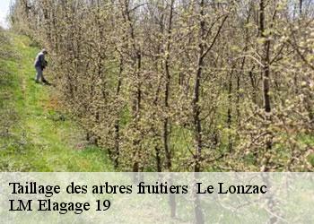 Taillage des arbres fruitiers 19470