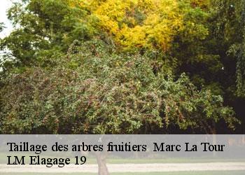 Taillage des arbres fruitiers   marc-la-tour-19150 LM Elagage 19