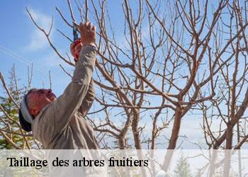 Taillage des arbres fruitiers 19510