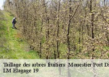 Taillage des arbres fruitiers 19110