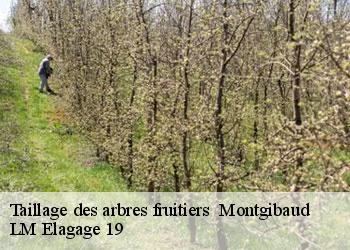 Taillage des arbres fruitiers 19210
