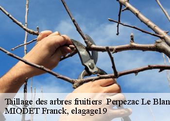 Taillage des arbres fruitiers   perpezac-le-blanc-19310 MIODET Franck, elagage19