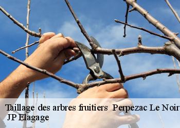 Taillage des arbres fruitiers   perpezac-le-noir-19410  JP Elagage