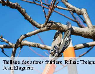 Taillage des arbres fruitiers rilhac-treignac-19260 Jean Elagueur