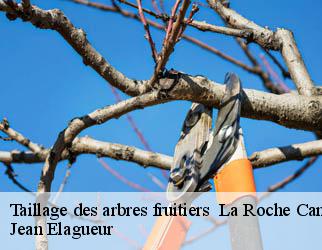 Taillage des arbres fruitiers la-roche-canillac-19320 Jean Elagueur
