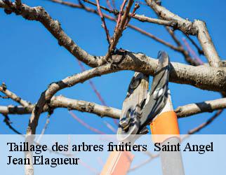 Taillage des arbres fruitiers saint-angel-19200 Jean Elagueur