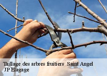 Taillage des arbres fruitiers   saint-angel-19200 MIODET Franck, elagage19