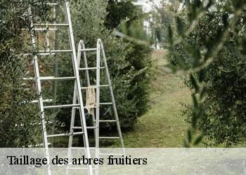 Taillage des arbres fruitiers 19550