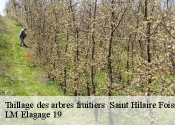 Taillage des arbres fruitiers 19550