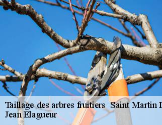 Taillage des arbres fruitiers saint-martin-la-meanne-19320 Jean Elagueur