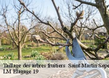 Taillage des arbres fruitiers 19210