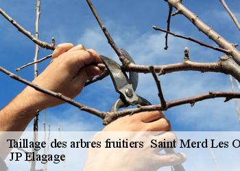 Taillage des arbres fruitiers saint-merd-les-oussines-19170 JP Elagage
