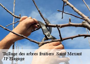 Taillage des arbres fruitiers saint-mexant-19330 JP Elagage