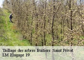 Taillage des arbres fruitiers   19220