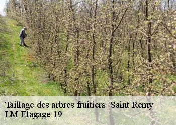 Taillage des arbres fruitiers 19290