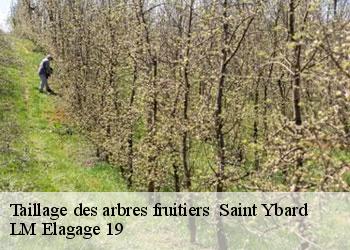 Taillage des arbres fruitiers 19140