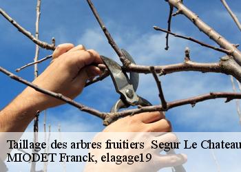 Taillage des arbres fruitiers   segur-le-chateau-19230 MIODET Franck, elagage19