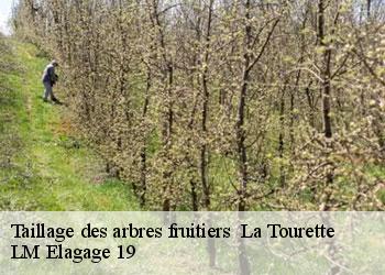 Taillage des arbres fruitiers   19200