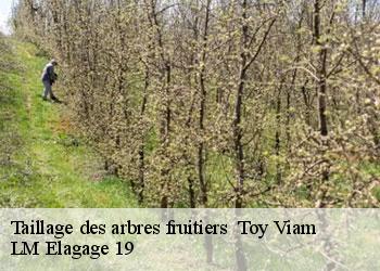Taillage des arbres fruitiers 19170