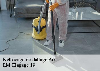 Nettoyage de dallage aix-19200 LM Elagage 19