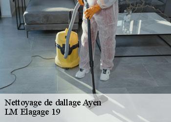 Nettoyage de dallage ayen-19310 LM Elagage 19