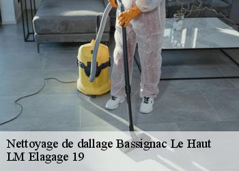 Nettoyage de dallage bassignac-le-haut-19220 LM Elagage 19