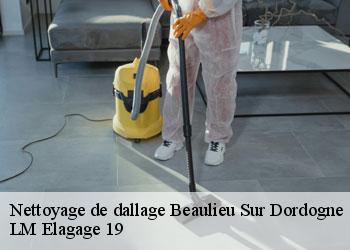Nettoyage de dallage  beaulieu-sur-dordogne-19120 LM Elagage 19