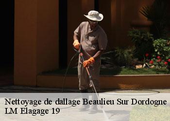 Nettoyage de dallage  19120