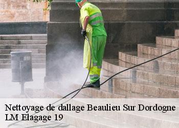 Nettoyage de dallage  19120