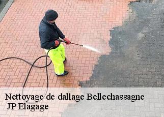 Nettoyage de dallage  bellechassagne-19290  JP Elagage