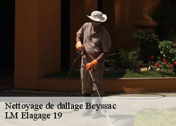 Nettoyage de dallage  19230