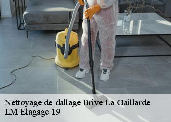 Nettoyage de dallage brive-la-gaillarde-19100 LM Elagage 19