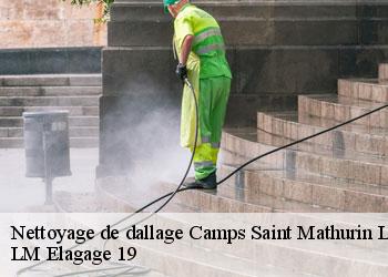 Nettoyage de dallage 19430