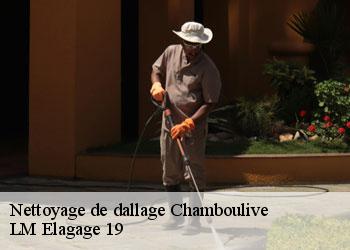 Nettoyage de dallage  19450