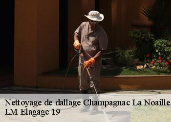 Nettoyage de dallage 19320