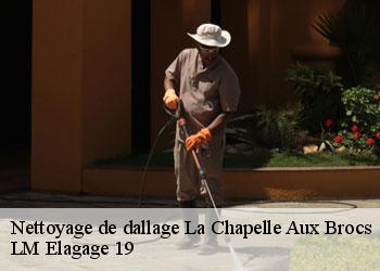 Nettoyage de dallage 19360