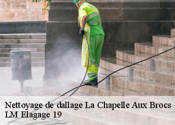 Nettoyage de dallage 19360