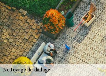 Nettoyage de dallage 19120