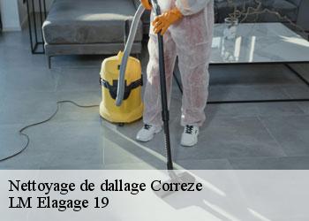 Nettoyage de dallage correze-19800 LM Elagage 19