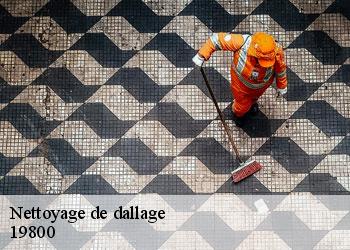 Nettoyage de dallage 19800