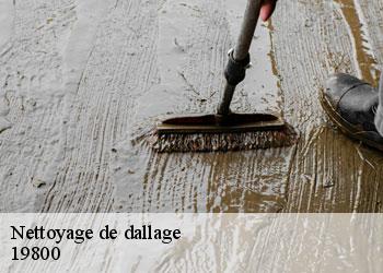 Nettoyage de dallage 19800