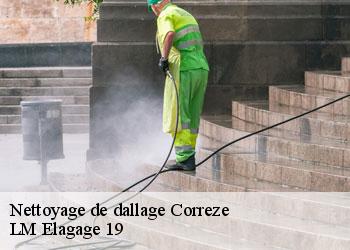 Nettoyage de dallage 19800
