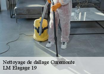 Nettoyage de dallage curemonte-19500 LM Elagage 19
