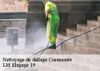 Nettoyage de dallage 19500