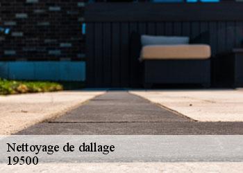 Nettoyage de dallage 19500