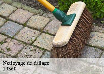 Nettoyage de dallage 19360