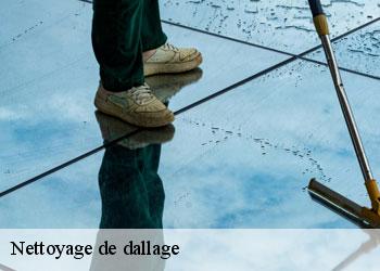 Nettoyage de dallage  19360