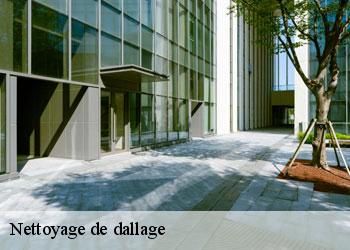 Nettoyage de dallage  19360