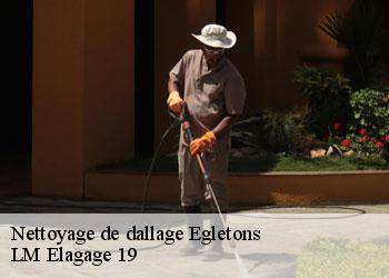 Nettoyage de dallage 19300