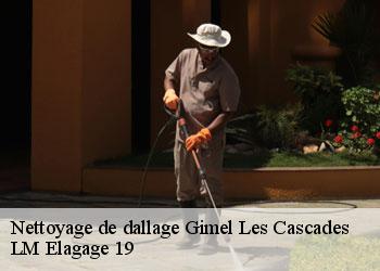 Nettoyage de dallage 19800